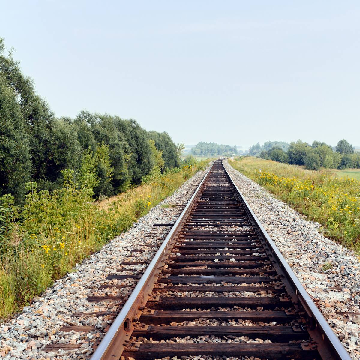 Vendrell apoya proyecto de la ANI para desarrollar tren en el Meta: estos son los detalles