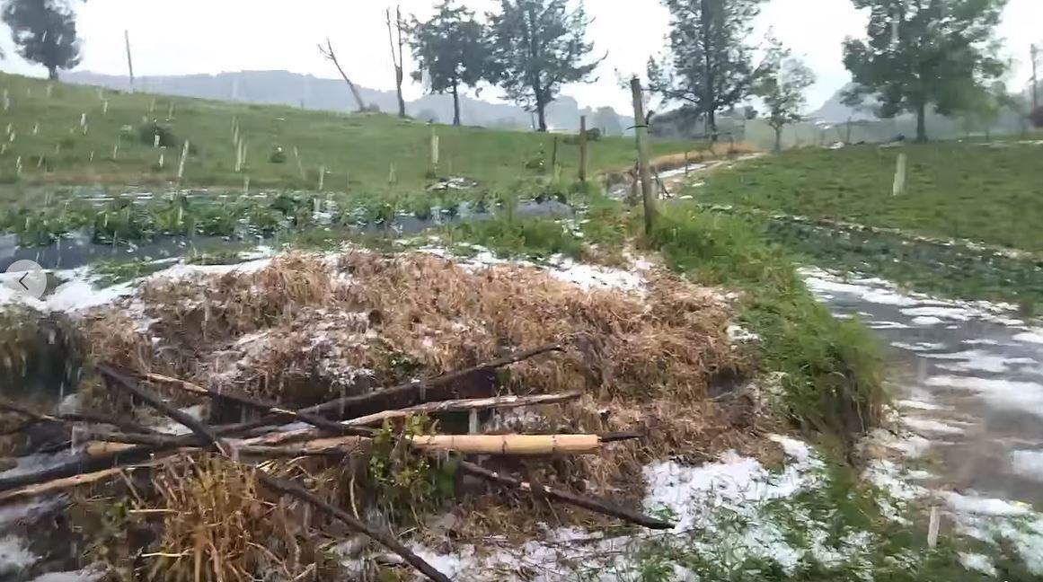 Granizada La Unión- Foto Noticias La Unión