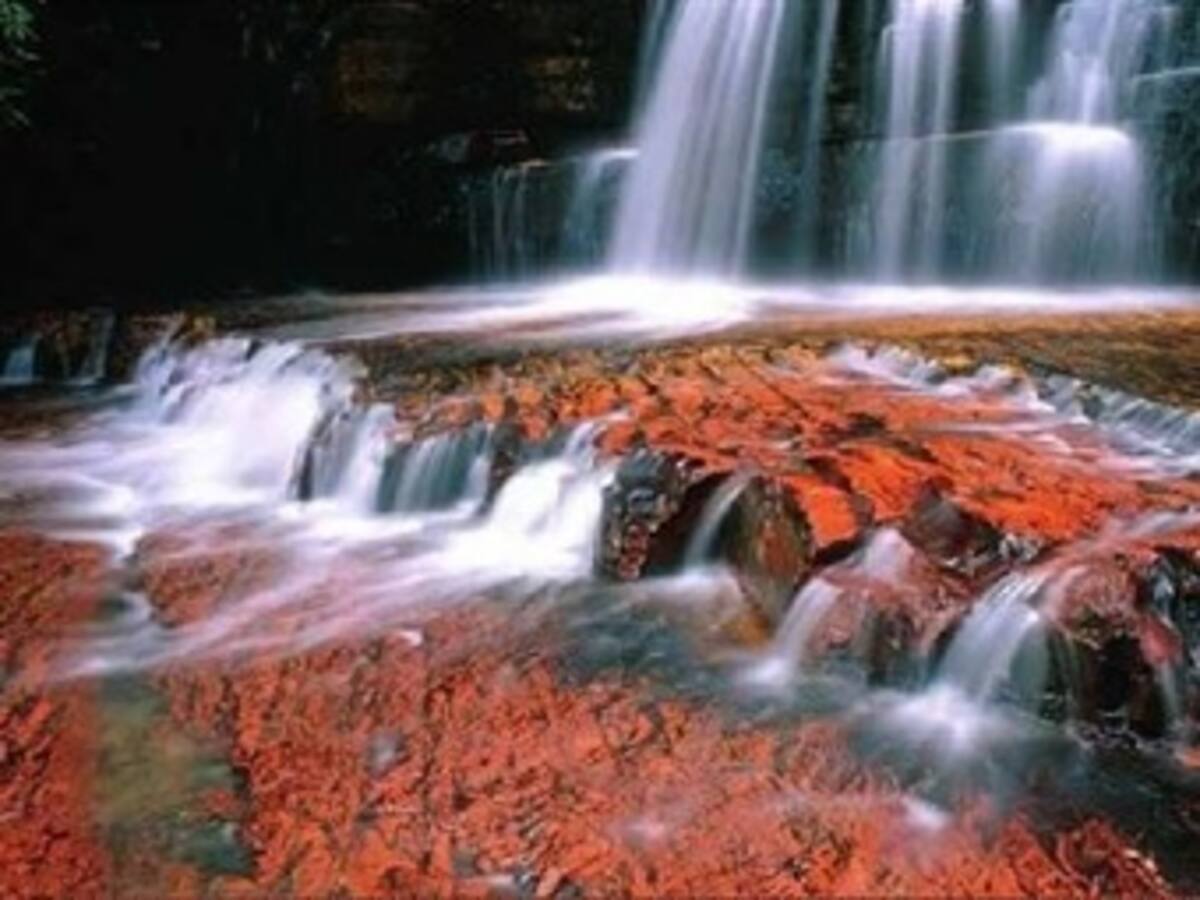 Colombia y el mundo le cantarán al agua en su día