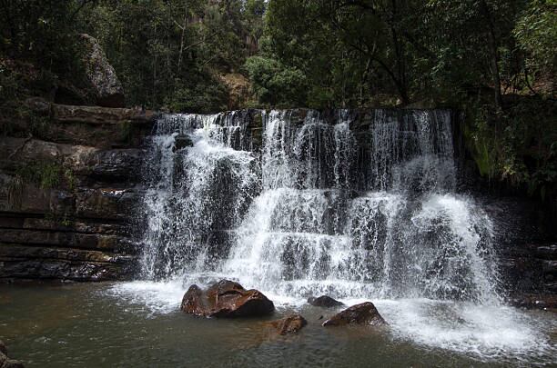 Según un informe de la Universidad de las Naciones Unidas (UNU-INWEH), se proyecta que la IA consumirá 9,3 billones de litros de agua anuales para el 2030, que es el equivalente a 37,2 billones de vasos de agua| Foto: Getty Images