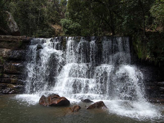 Según un informe de la Universidad de las Naciones Unidas (UNU-INWEH), se proyecta que la IA consumirá 9,3 billones de litros de agua anuales para el 2030, que es el equivalente a 37,2 billones de vasos de agua| Foto: Getty Images