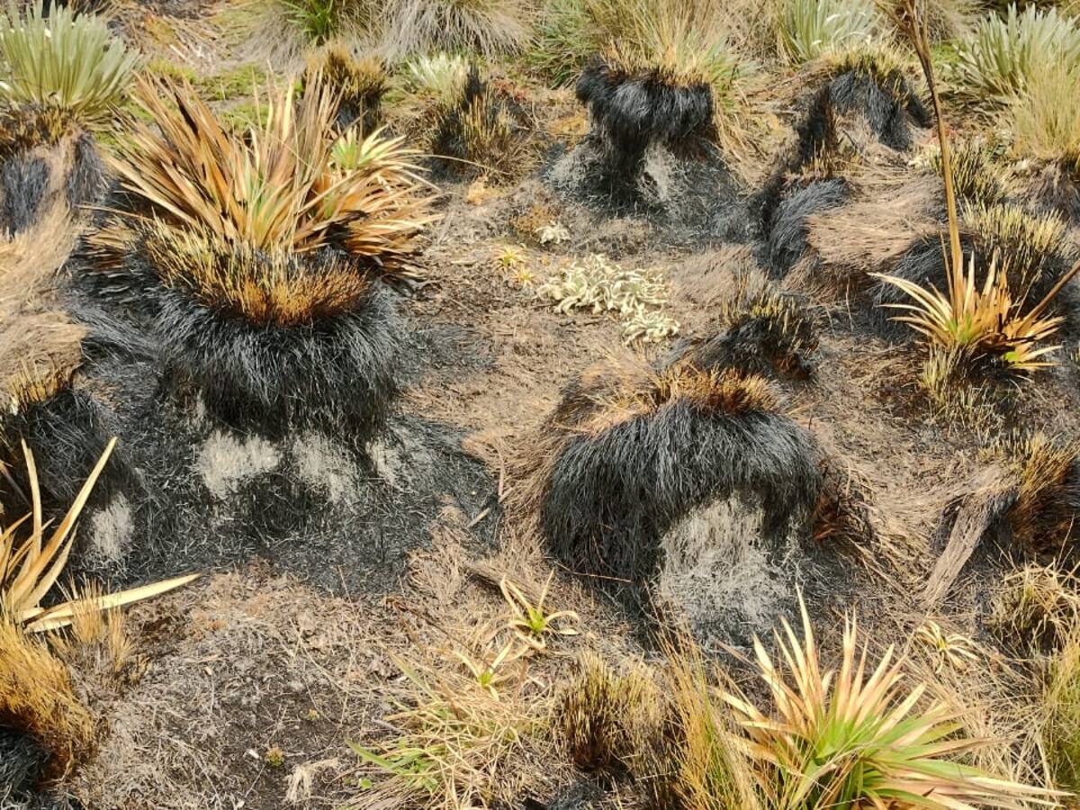Quemas, motocross y paseos de olla hacen en el páramo Rabanal de Boyacá