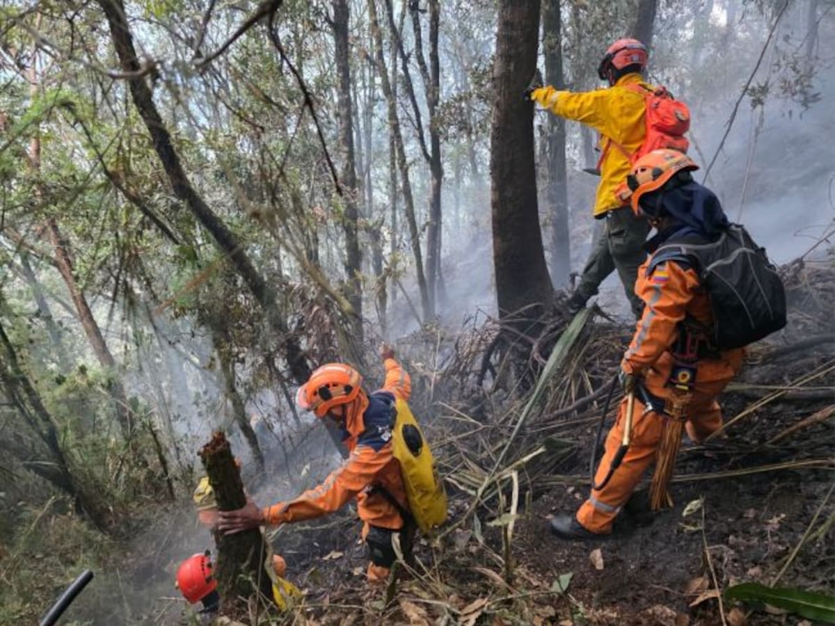 Defensa Civil atiende incendios forestales en tres municipios de Santander
