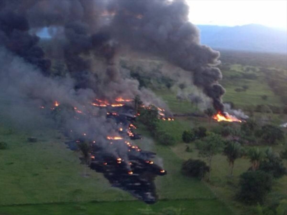 Ataques de la guerrilla frenan crecimiento económico del sector: Ecopetrol