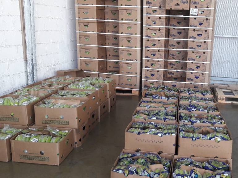 El cargamento de cocaína camuflada en cajas de bananos. /FOTO POLICÍA ANTINARCÓTICOS