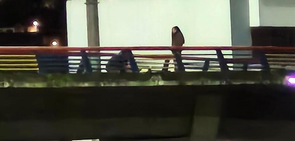 Frustran intento de suicidio de una menor en Pasto | Foto: Bomberos