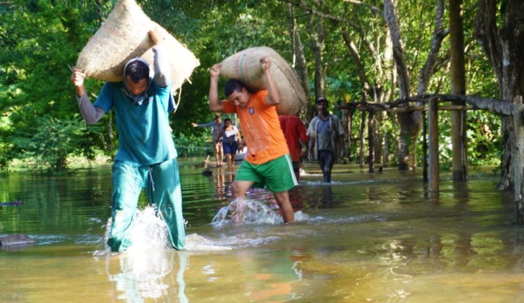 La impotencia de los campesinos de la Mojana por las inundaciones                              