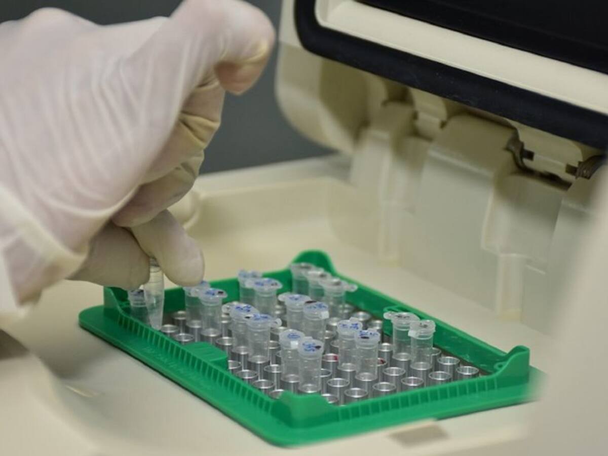 MinCiencias inaugurará laboratorio de Genética de la Unisimón