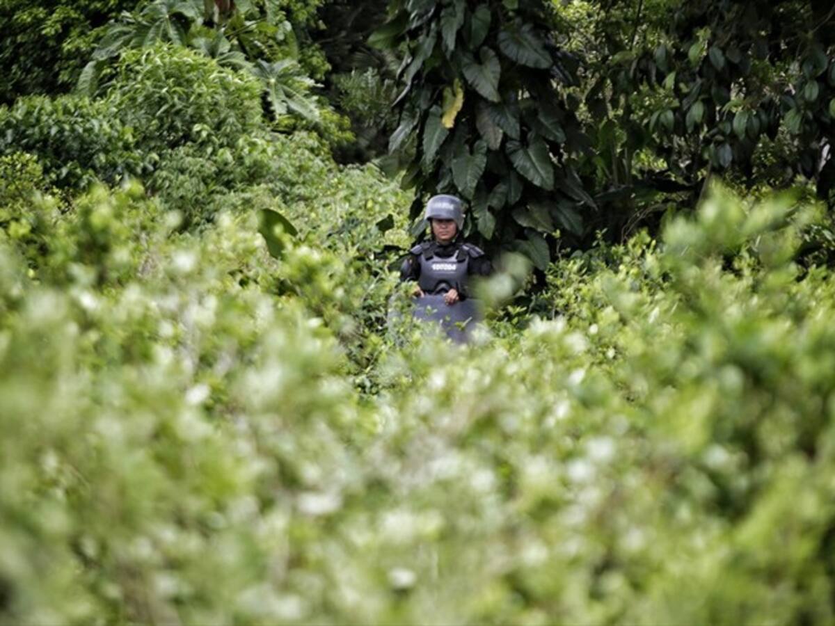 Familias que se desplazaron a Ecuador ya iniciaron su retorno a Tumaco