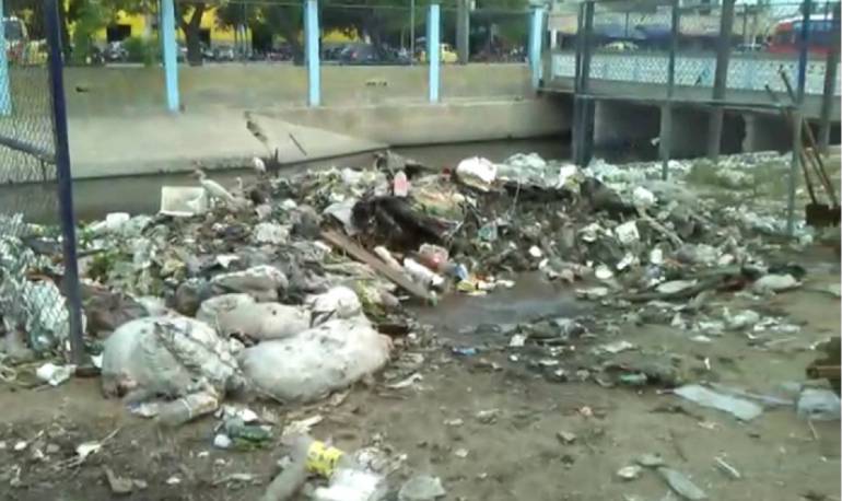 En esta zona del mercado público de Barranquilla fueron hallados los restos de más de 10 perros.