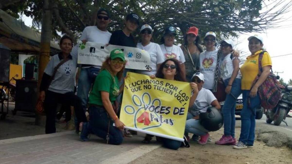 "Desalmados envenenan a los animales en playa del Atlántico": Defensores