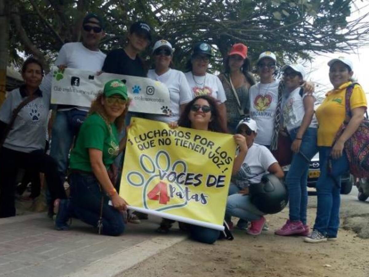"Desalmados envenenan a los animales en playa del Atlántico": Defensores