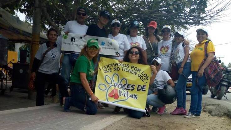 "Desalmados envenenan a los animales en playa del Atlántico": Defensores