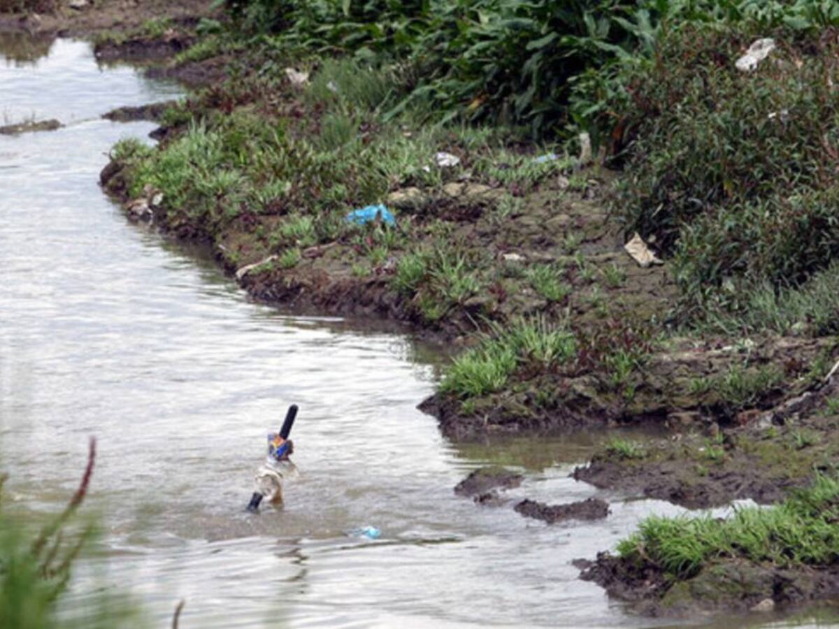 Ladrones se lanzaron al humedal Jaboque y están desaparecidos