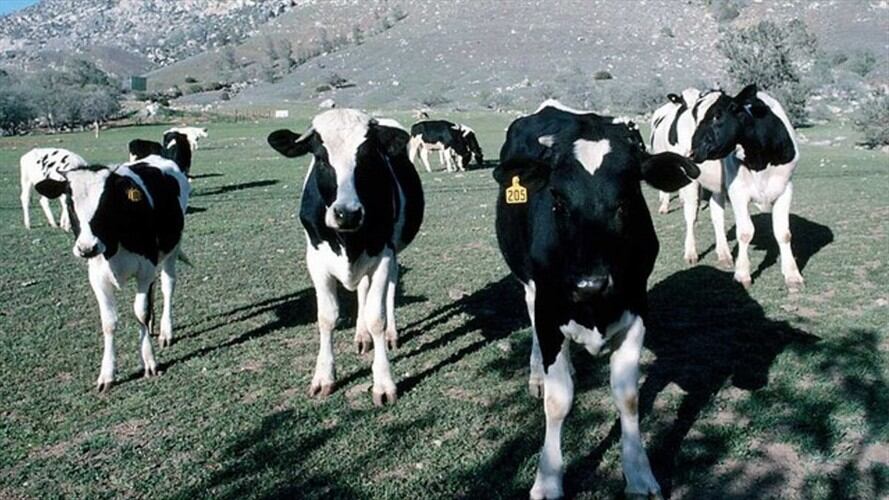 Imagen de referencia. Foto: Colprensa