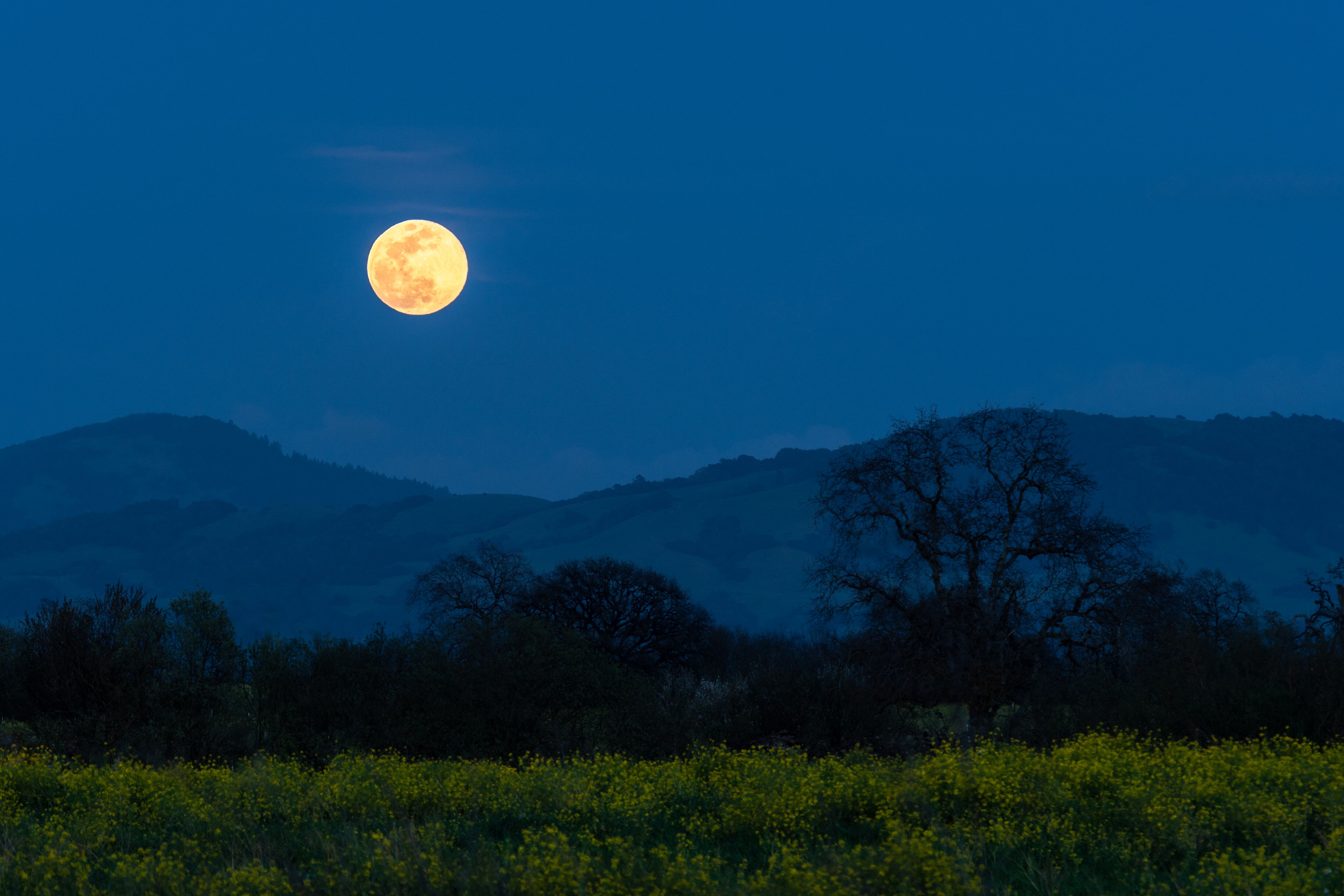 Luna llena en febrero - Getty Images