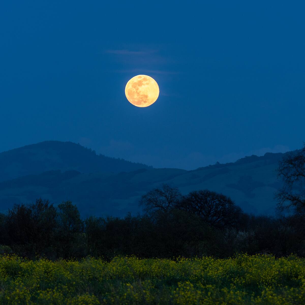 ¿Cuándo hay luna llena en febrero? Fecha y mejores lugares para verla en Bogotá