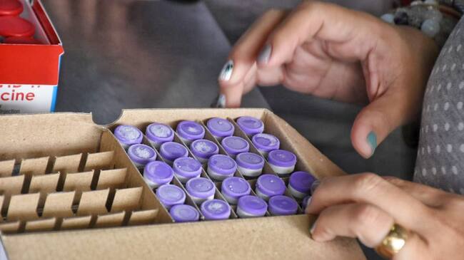 Jornada de vacunación en Ibagué