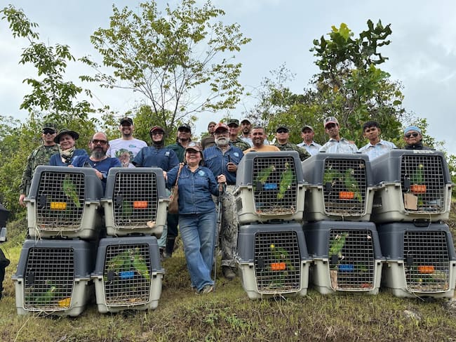 Corpamag y Secretaría de Ambiente de Bogotá liberan animales silvestres rehabilitados en el Centro de Fauna de la capital del país