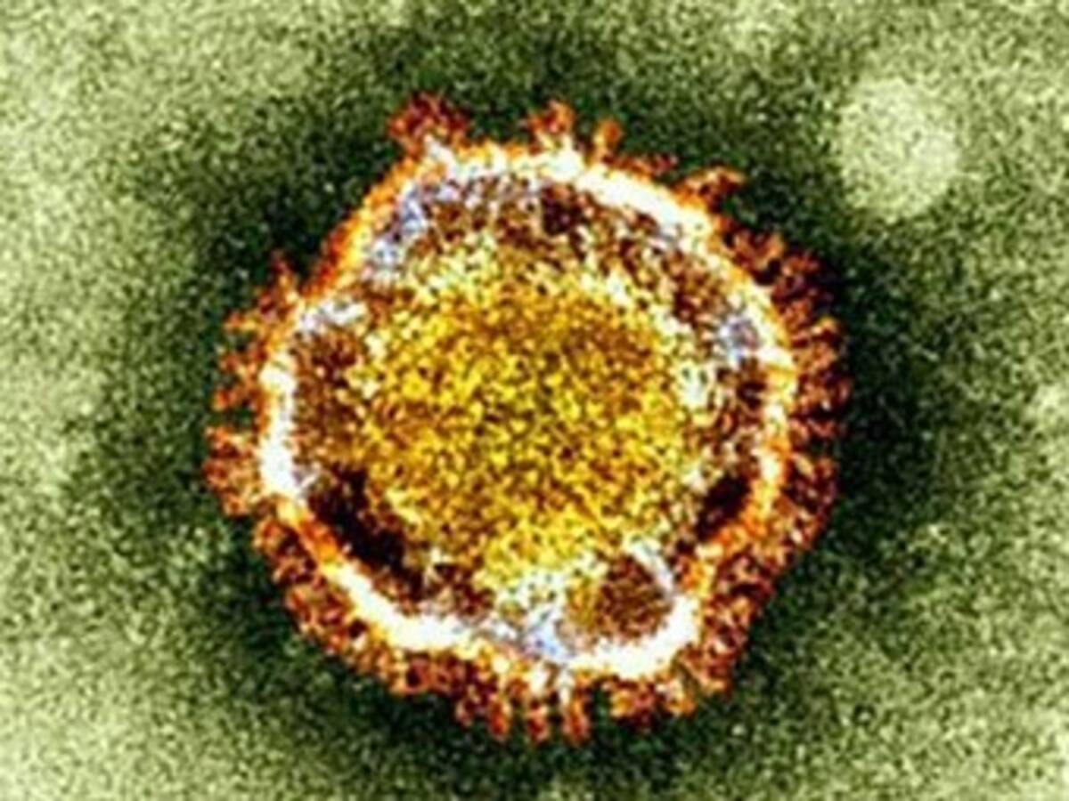NCov el nuevo y letal virus que ataca a los humanos