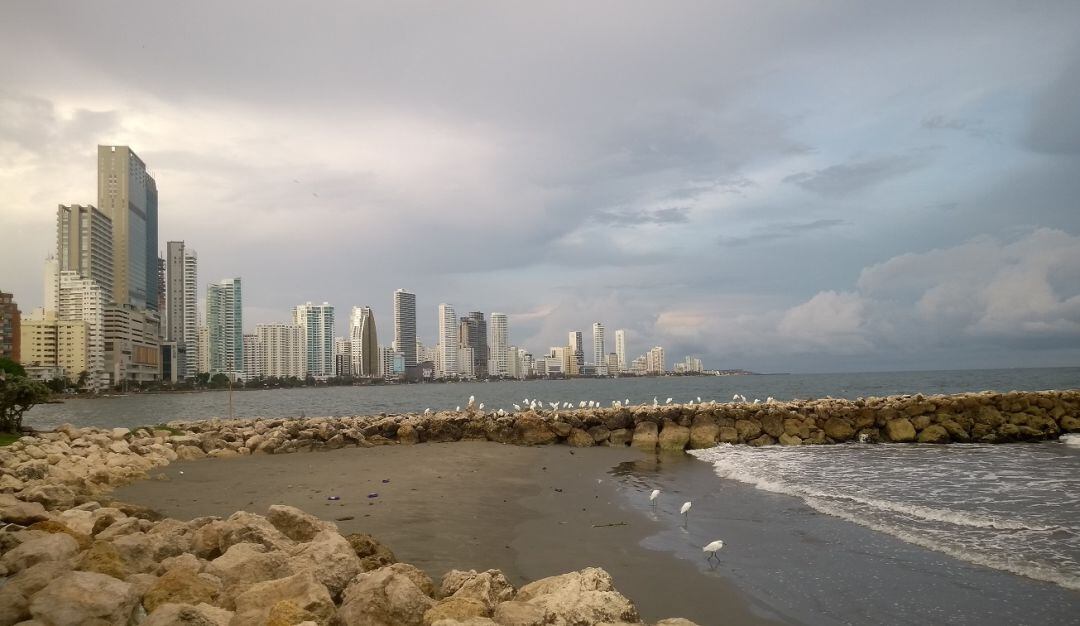 Los sectores de energías renovables, software y servicios IT y petroquímico plástico han sido los de mayor interés