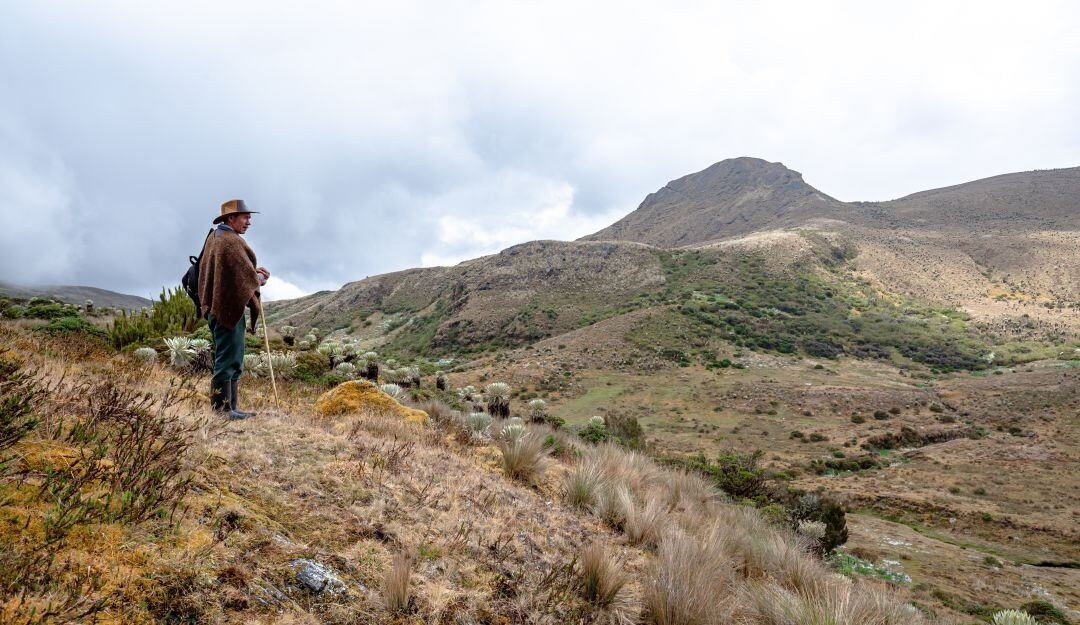 Proponen capacitar a campesinos para controlar incendios y evitar tragedias ambientales