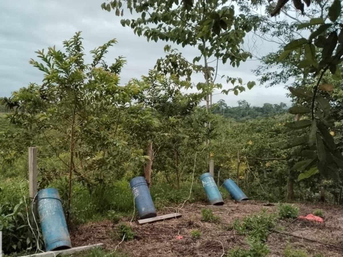 El ejército destruyó explosivos instalados en cilindros del ELN en Segovia
