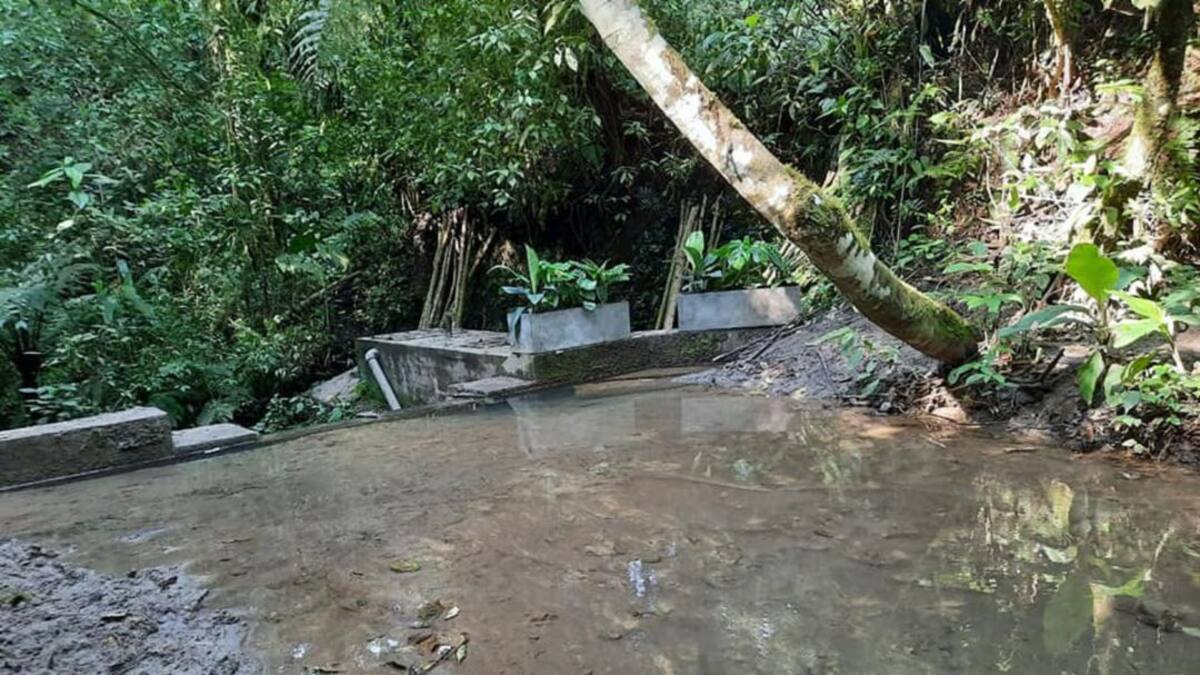 INFORME SOBRE LA DENUNCIA EN LA VEREDA CONGAL EN CIRCASIA