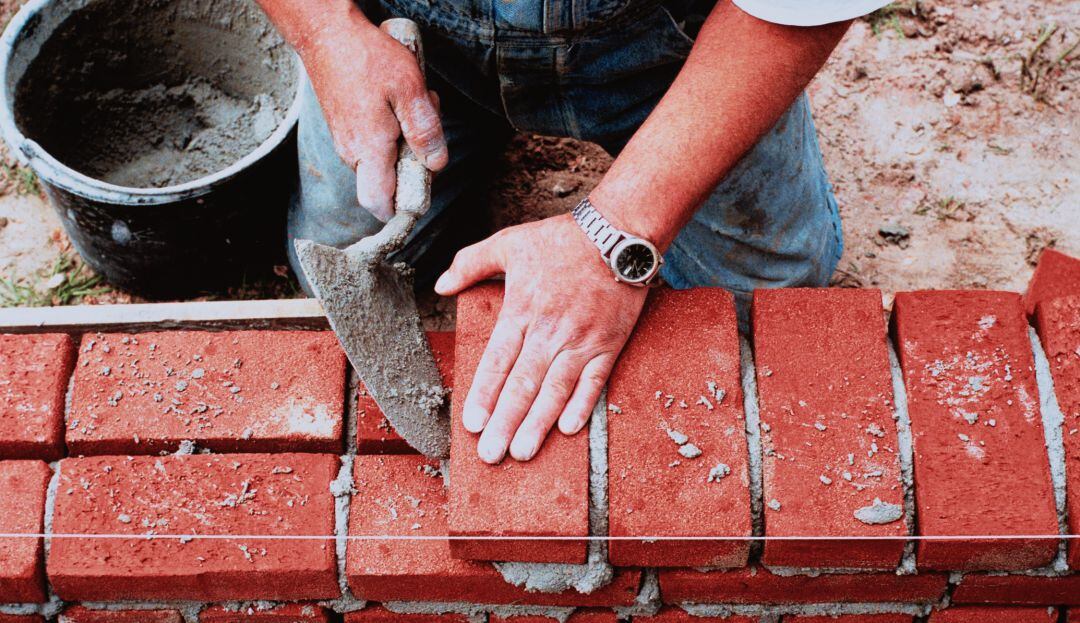 Imagen de referencia