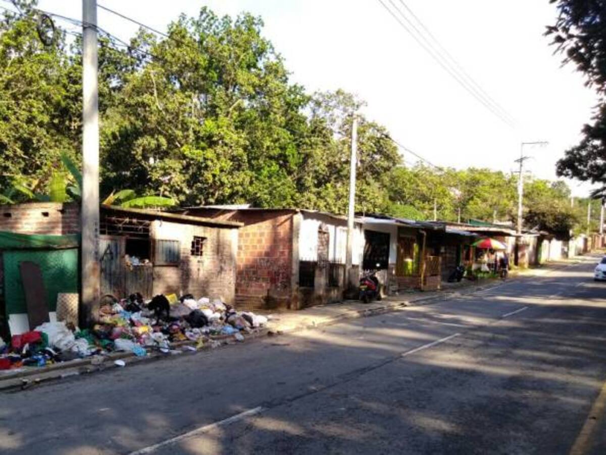 Trasversal Oriental: huecos, desaseo e invasiones