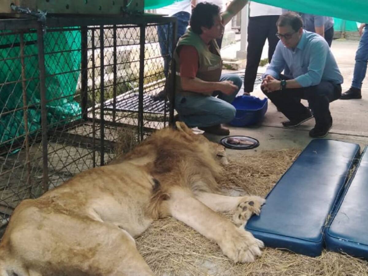 Fiscal General de la Nación verificó en Cali salud de León Júpiter