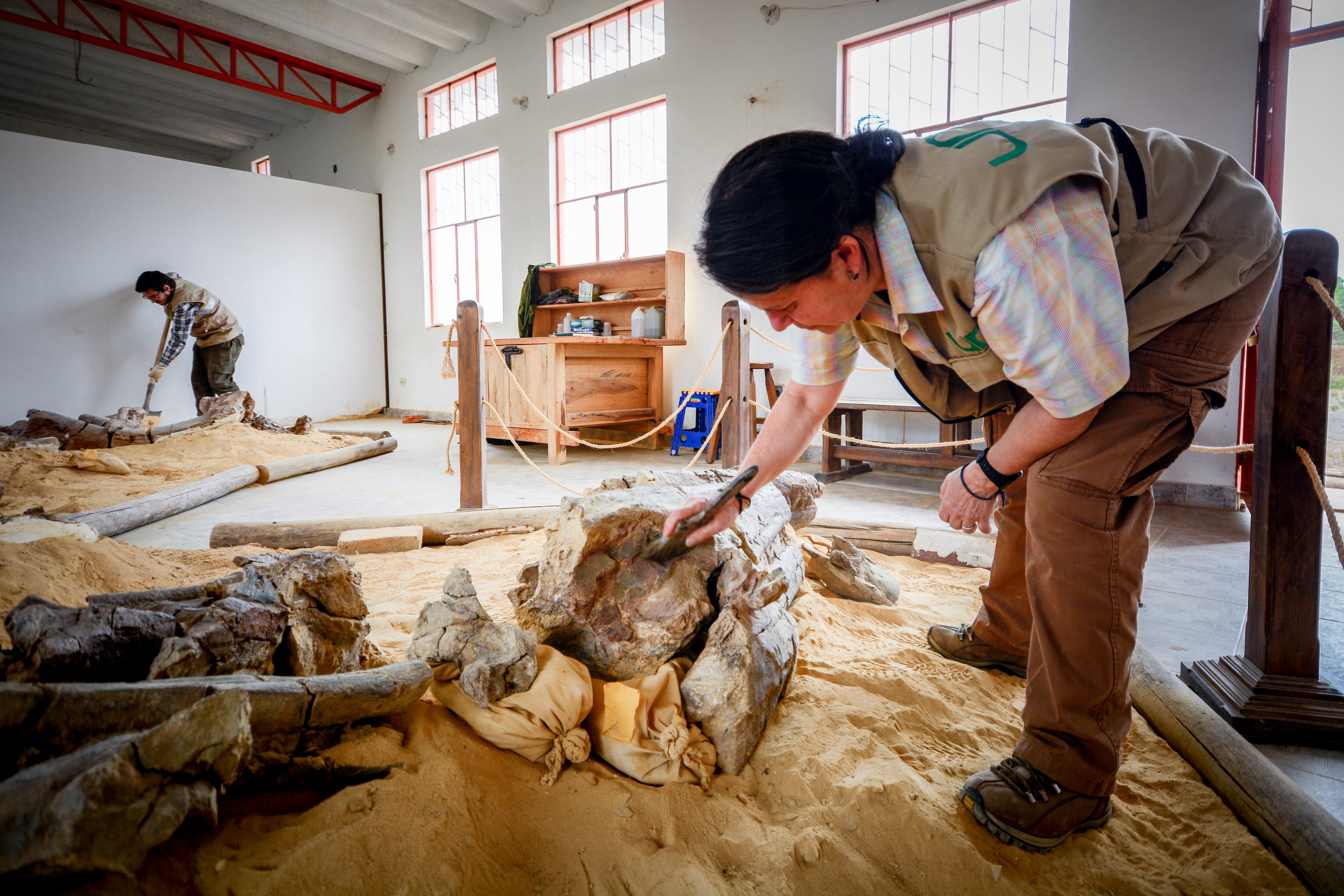 El municipio de Sáchica avanza en el museo de geología, arqueología y paleontología para preservar su riqueza fósil y atraer turismo científico.