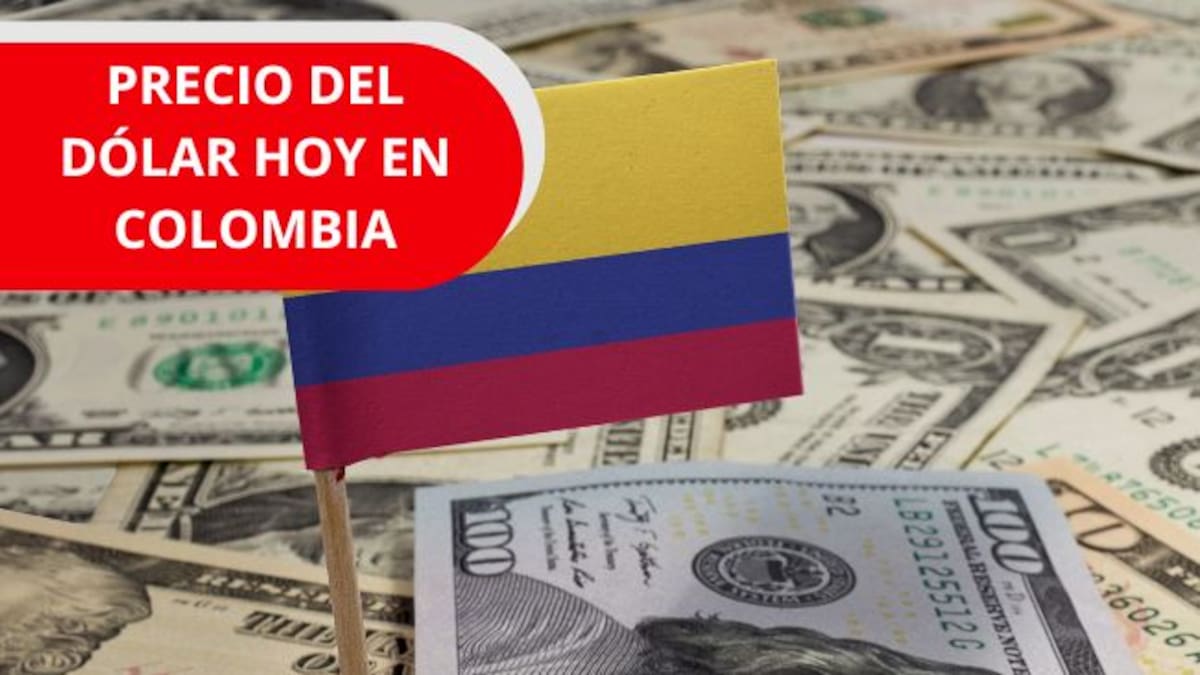 Precio del dólar en Colombia HOY 21 de mayo: se presenta una nueva baja, según el Banrep