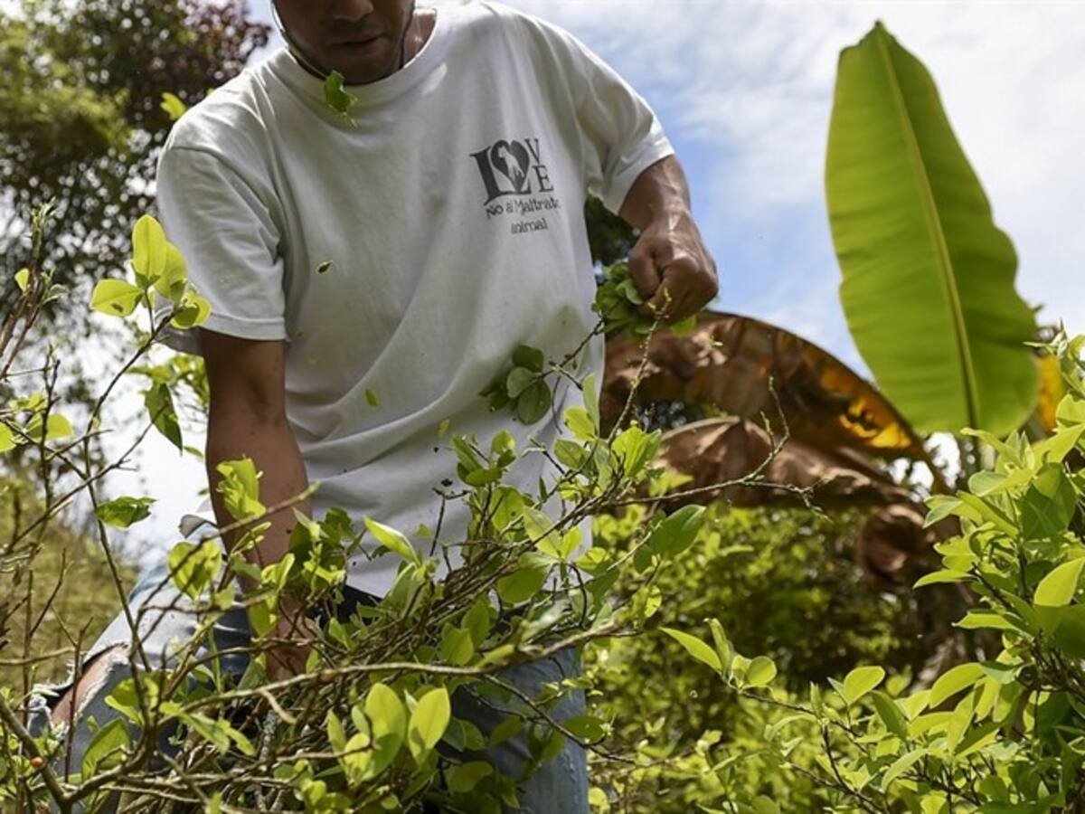 Fueron retenidos 15 policías en zona de erradicación en Nariño