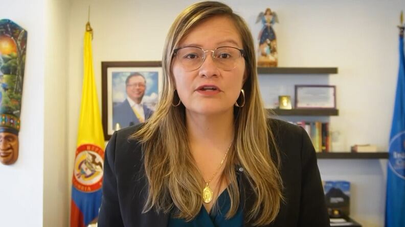 Cielo Rusinque, superintendente de Industria y Comercio. Foto: Captura de pantalla video.