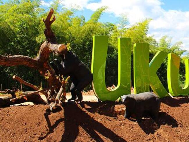 Javier Monsalve, gerente del Infi Pereira