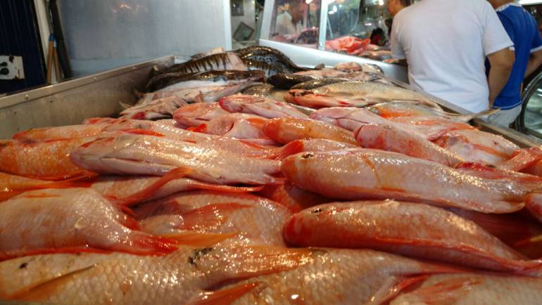 Pescado como la tilapia es el de mayor demanda en Antioquia. 