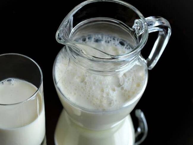 La leche y sus aportes nutricionales