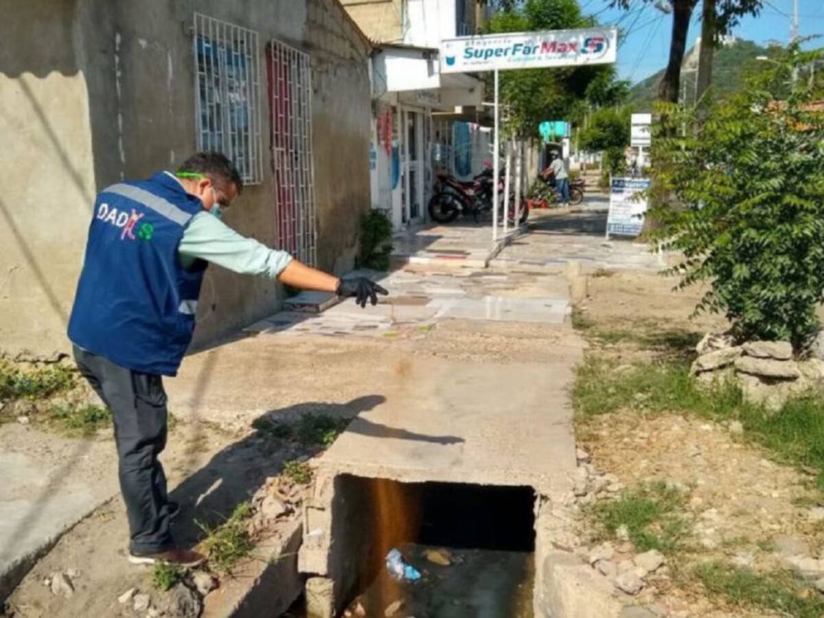 Cartagena registra 342 casos de dengue en lo que va de 2021