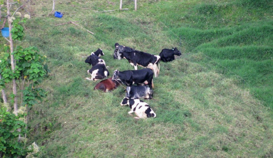 Temporada seca en Caldas