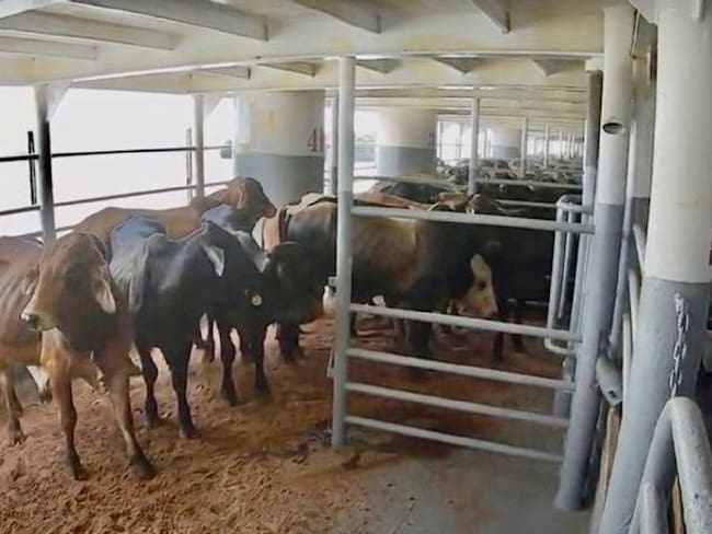 José Luis Querubín Orrego