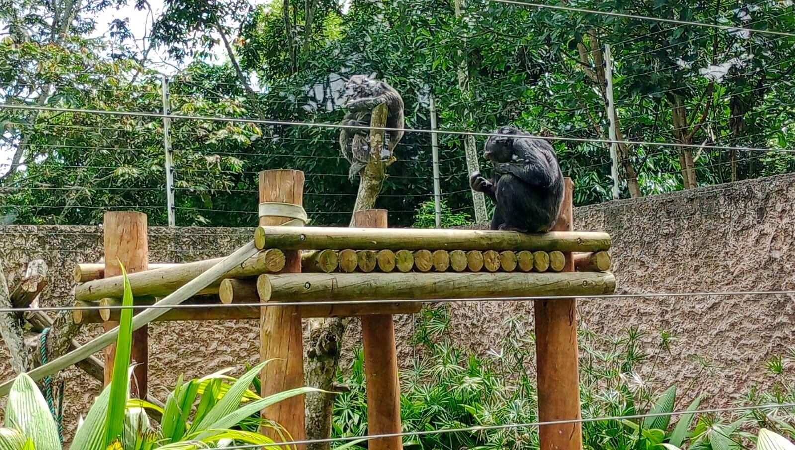 Imagen de archivo - Caracol Radio.