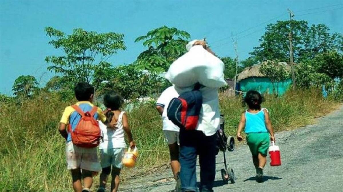 Temor en Policarpa por enfrentamientos armados