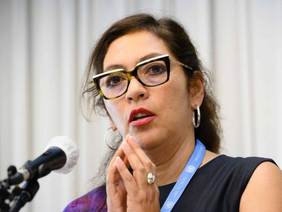 Norcorea asegura que la nueva relatora de la ONU de DD.HH. es un "títere" de EE.UU.