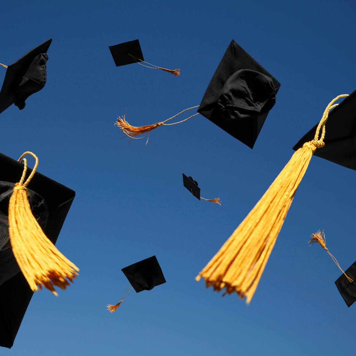 Estas son las mejores universidades del mundo, ¿en qué puestos están las colombianas?
