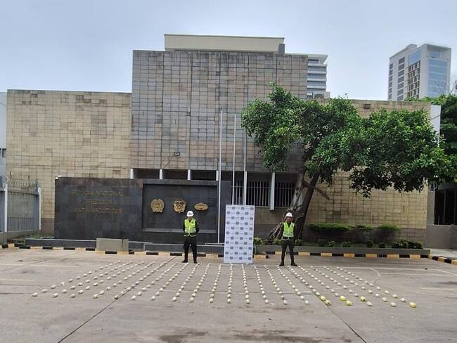 Incautan 63 kilos de cocaína que serían enviados a España al interior de piñas falsas