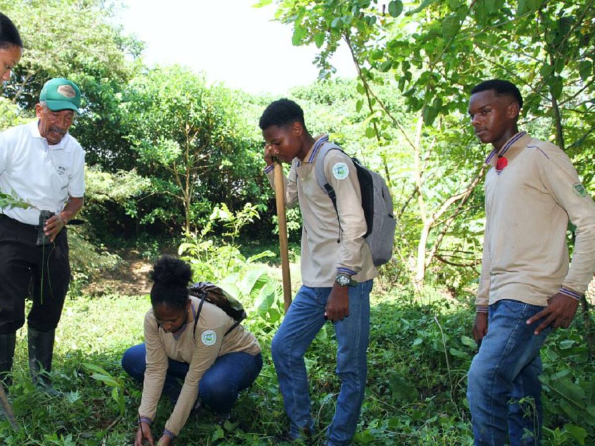 Estudiantes reforestan cuenca del Arroyo Corral en María La Baja, Bolívar