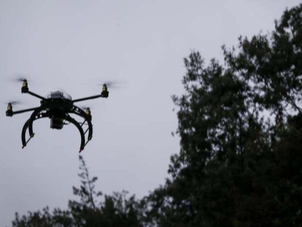 Este martes se definirá nueva estrategia contra cultivos ilícitos