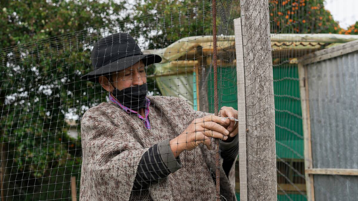 Cómo va en salud la ruralidad colombiana
