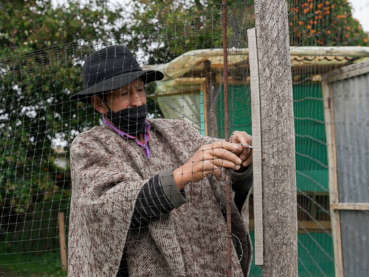 ¿Cómo está la salud de los campesinos en Colombia?